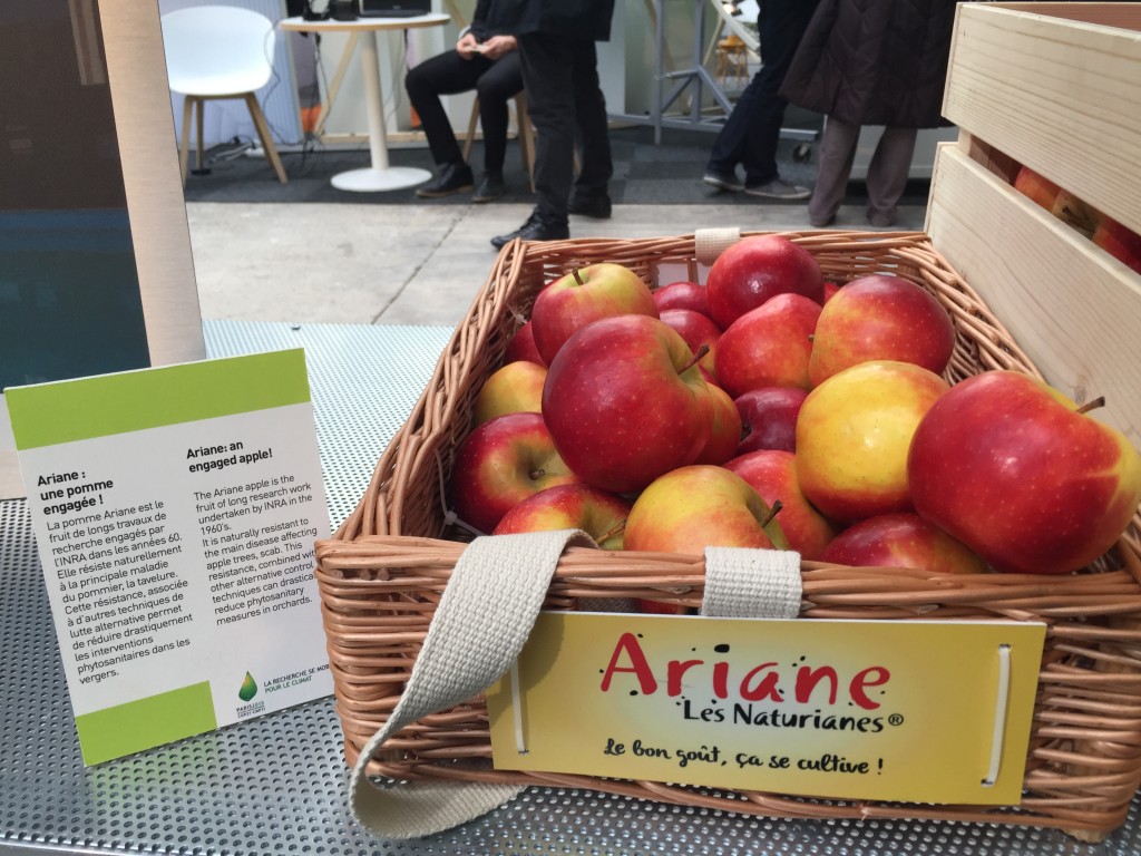 Ariane, partenaire de la COP 21 en tant que représentante du mieux produire