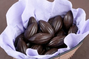 bonbon_chocolat_pomme_ariane