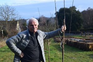 yann arthus bertrand_pommier_ariane