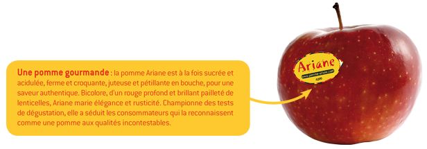 pomme_gourmande_Ariane