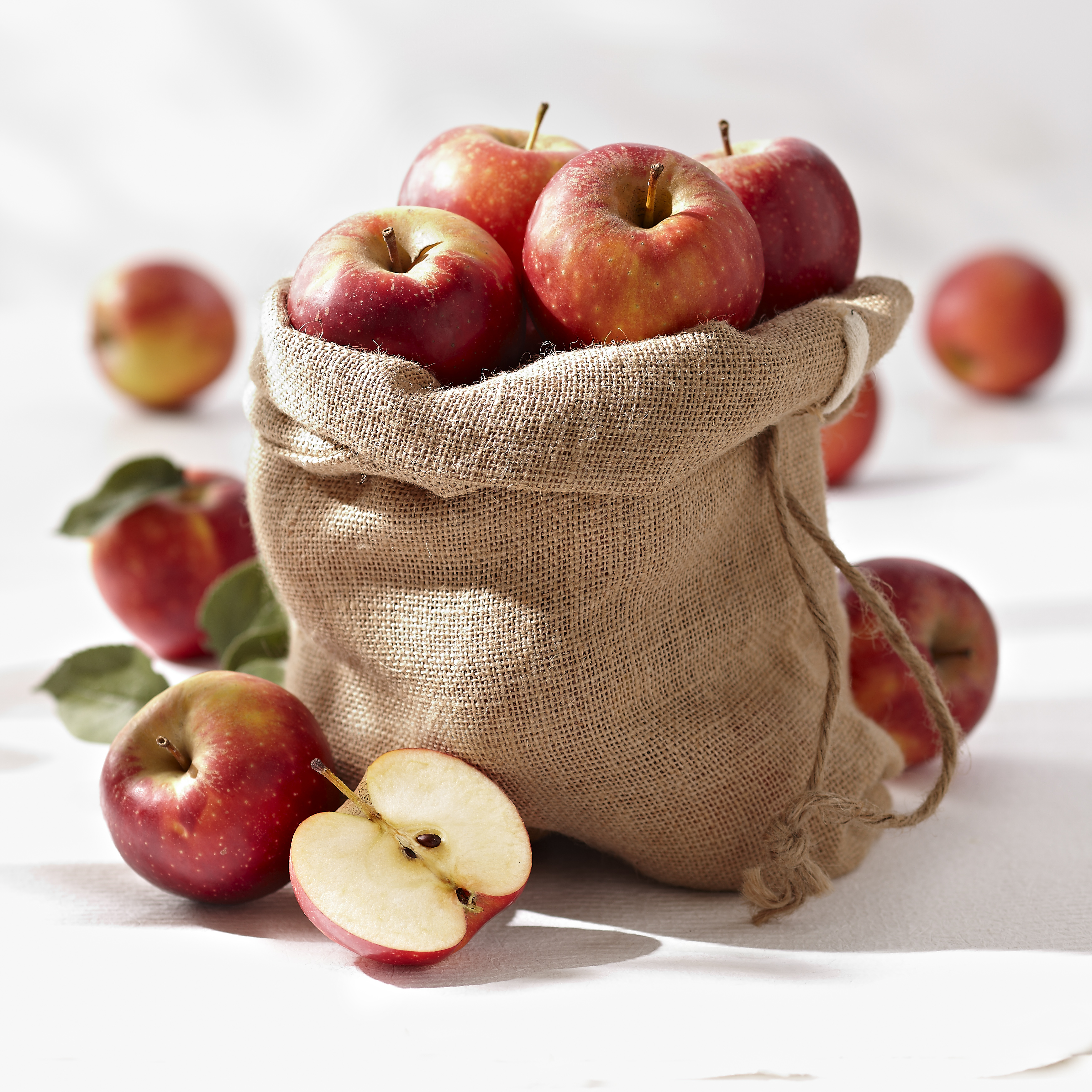 La pomme : récolte, conservation et utilisation des pommes